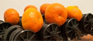 TANGERINE