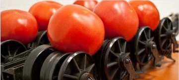 TOMATO